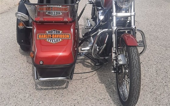 Gebrauchtmotorrad Harley-Davidson Sportster XL 883 C Custom - Bild 4