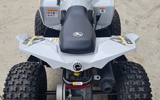 Gebrauchtmotorrad Can-Am Renegade 110 EFI - Bild 10
