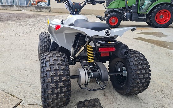 Gebrauchtmotorrad Can-Am Renegade 110 EFI - Bild 4