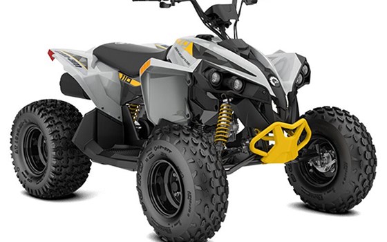 Gebrauchtmotorrad Can-Am Renegade 110 EFI - Bild 5