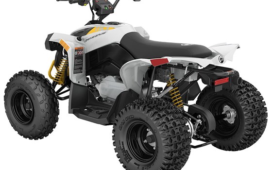 Gebrauchtmotorrad Can-Am Renegade 110 EFI - Bild 6