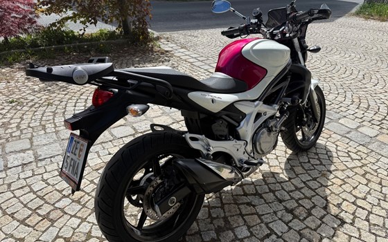 Gebrauchtmotorrad Suzuki SFV 650 Gladius - Bild 2