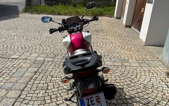 Gebrauchtmotorrad Suzuki SFV 650 Gladius - Bild 3
