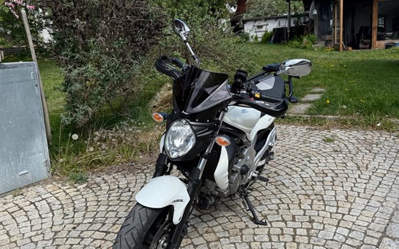Gebrauchtmotorrad Suzuki SFV 650 Gladius - Bild 4