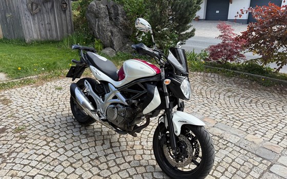 Gebrauchtmotorrad Suzuki SFV 650 Gladius - Bild 5
