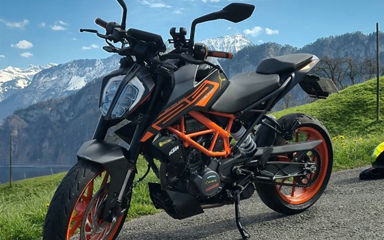 Motorrad Occasion KTM 125 Duke - Bild 2