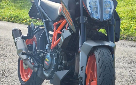 Motorrad Occasion KTM 125 Duke - Bild 5