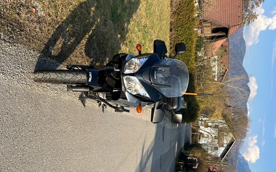 Gebrauchtmotorrad Suzuki V-Strom 650 Touring - Bild 3