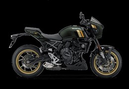 Neumotorrad Suzuki GSX-8TT