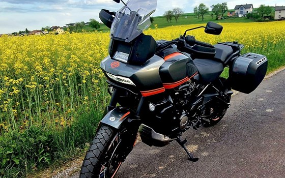 Gebrauchtmotorrad Harley-Davidson Pan America 1250 Special - Bild 2