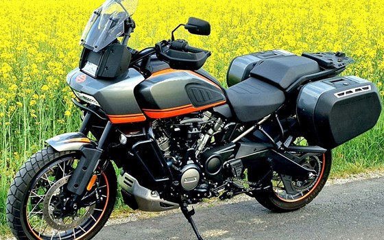 Gebrauchtmotorrad Harley-Davidson Pan America 1250 Special - Bild 5