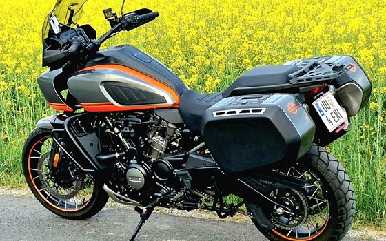 Gebrauchtmotorrad Harley-Davidson Pan America 1250 Special - Bild 6