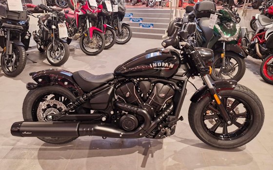 Neufahrzeug Indian Scout Bobber - Bild 1