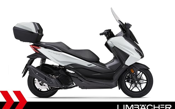 Gebrauchtmotorrad Honda Forza 125 - Bild 1