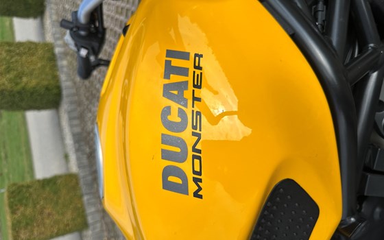 Gebrauchtmotorrad Ducati Monster 821 - Bild 3