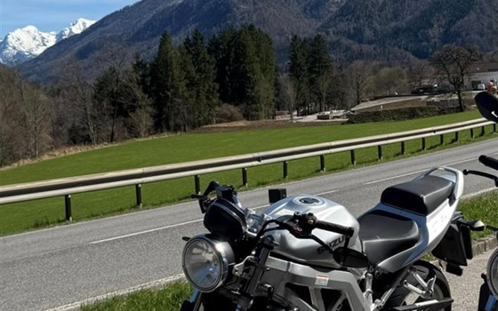 Gebrauchtmotorrad Suzuki SV650 - Bild 1