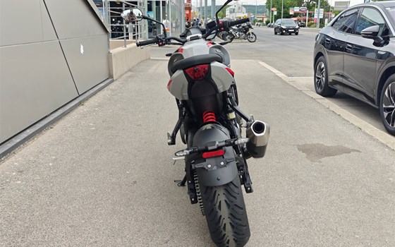 Neufahrzeug Triumph Trident 800 - Bild 5