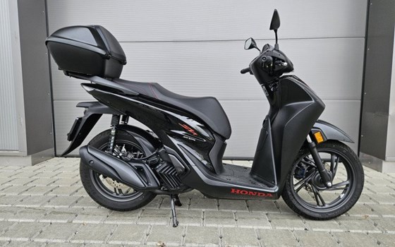 Motorrad Occasion Honda SH125 - Bild 3