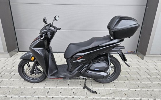 Motorrad Occasion Honda SH125 - Bild 4