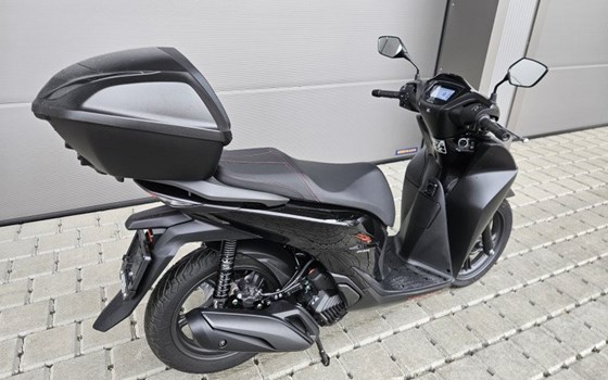 Motorrad Occasion Honda SH125 - Bild 6