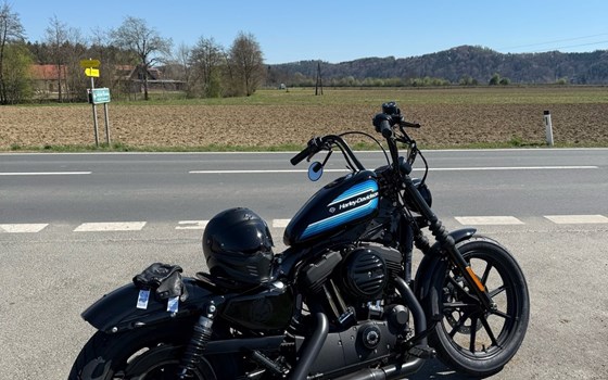 Gebrauchtmotorrad Harley-Davidson Sportster XL 1200NS Iron - Bild 3