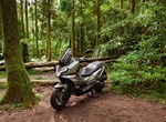 Angebot Sym ADX 300