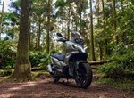 Angebot Sym ADX 300