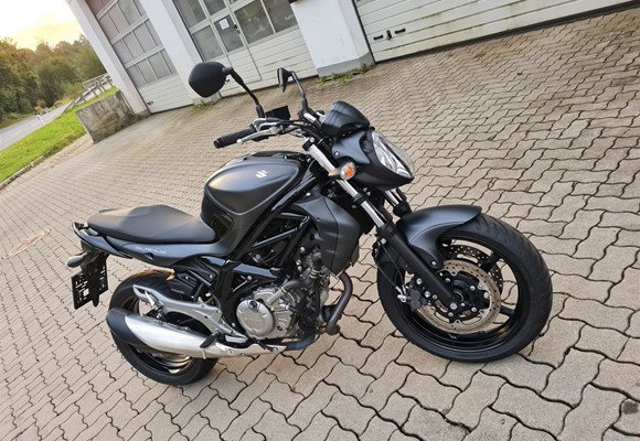 Suzuki SFV 650 Gladius