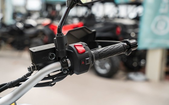 Neufahrzeug Suzuki V-Strom 800DE - Bild 10