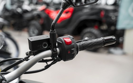 Neufahrzeug Suzuki V-Strom 800 - Bild 10
