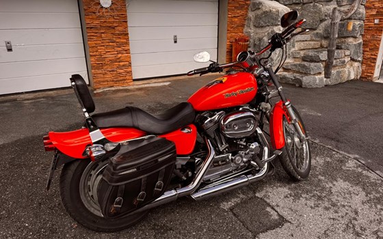 Gebrauchtmotorrad Harley-Davidson Sportster XL 1200 - Bild 10