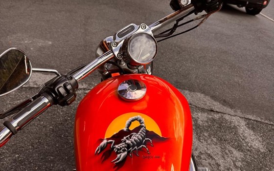Gebrauchtmotorrad Harley-Davidson Sportster XL 1200 - Bild 6
