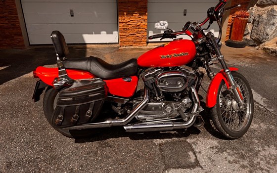 Gebrauchtmotorrad Harley-Davidson Sportster XL 1200 - Bild 1