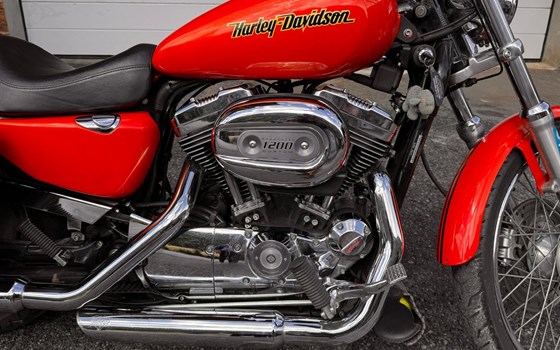 Gebrauchtmotorrad Harley-Davidson Sportster XL 1200 - Bild 4