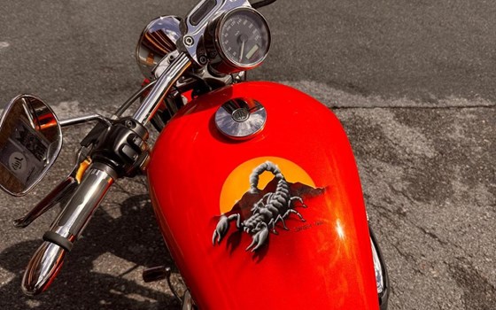 Gebrauchtmotorrad Harley-Davidson Sportster XL 1200 - Bild 8