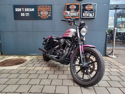 Foto des Bikes