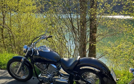 Gebrauchtmotorrad Yamaha XVS 1100 Drag Star - Bild 1