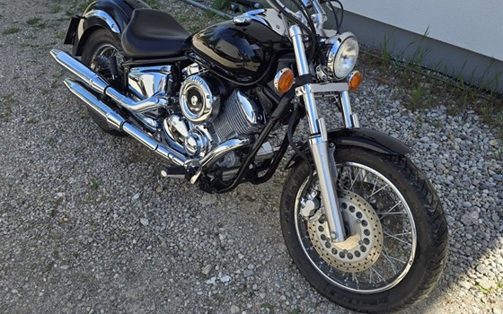 Gebrauchtmotorrad Yamaha XVS 1100 Drag Star - Bild 2