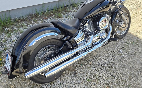 Gebrauchtmotorrad Yamaha XVS 1100 Drag Star - Bild 3