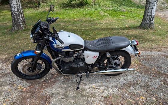 Gebrauchtmotorrad Triumph Bonneville - Bild 8