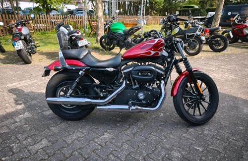 Gebrauchtmotorrad Harley-Davidson Sportster XL 883 N Iron