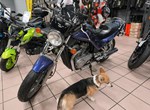 Angebot Suzuki VX 800