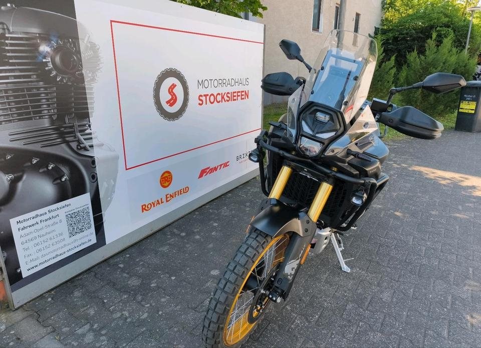 Angebot Voge DS800X Rally