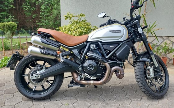 Gebrauchtmotorrad Ducati Scrambler 1100 PRO - Bild 4