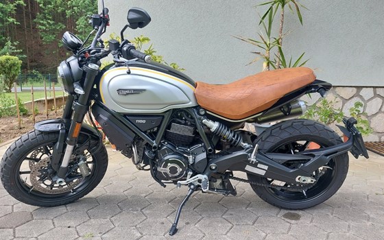 Gebrauchtmotorrad Ducati Scrambler 1100 PRO - Bild 5