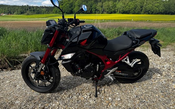 Gebrauchtmotorrad Honda CB750 Hornet - Bild 2