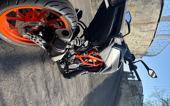 Gebrauchtmotorrad KTM 390 Duke - Bild 2