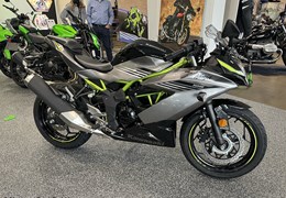 Neumotorrad Kawasaki Ninja 125