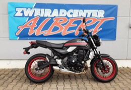 Neumotorrad Kawasaki Z650 RS