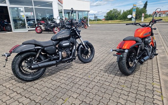 Neufahrzeug QJ Motor SRV12 - Bild 3
